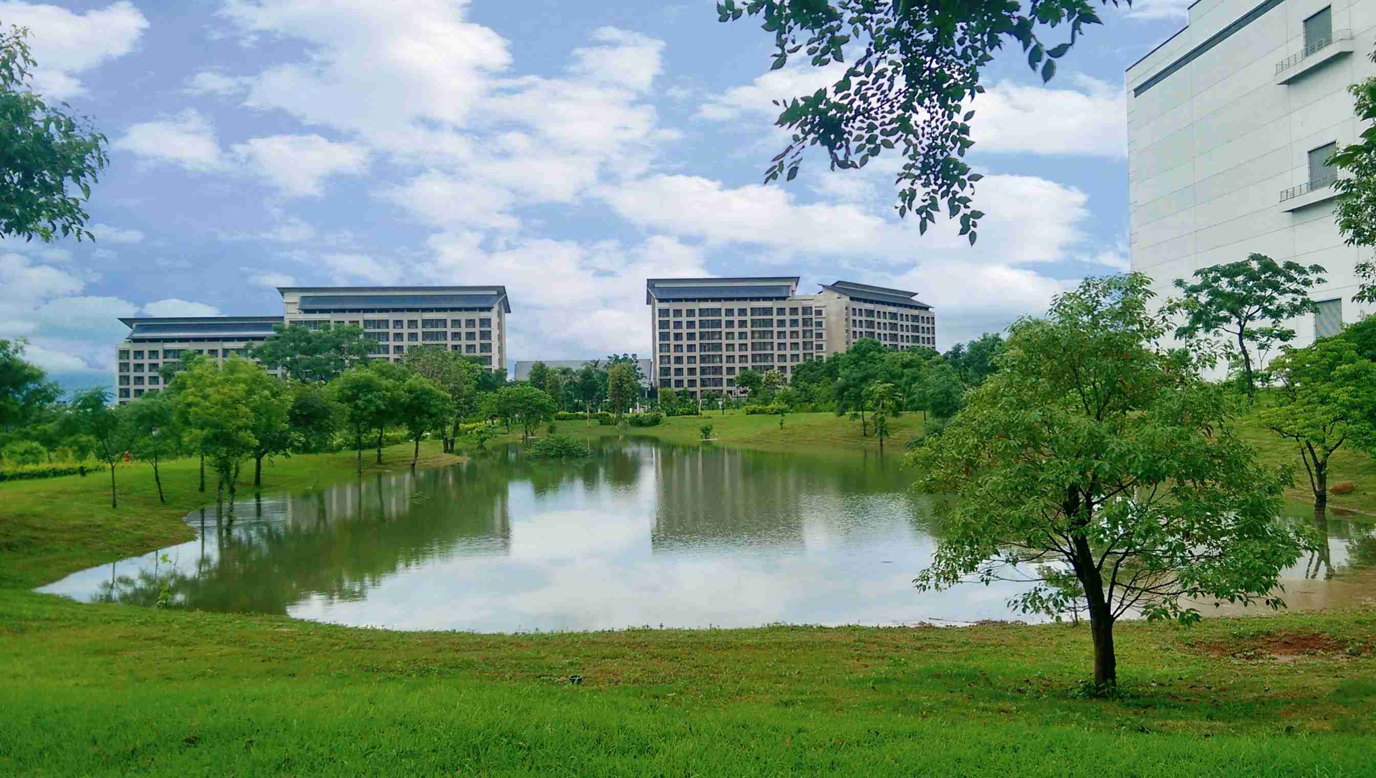 至成国际响应国际倡议生物多样性趋势，，首次发布TNFD自然相关财务揭露报告书，，，擘划及开展至成国际生物多样性政策之承诺，，，逐步迈向与自然和谐共生